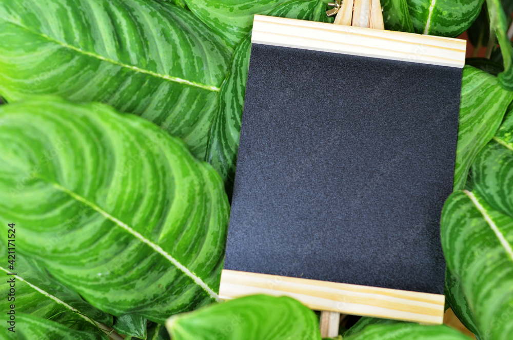 Wall mural empty standing chalk board on garden. blank black board with blurred background for text, menu and s