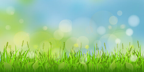 Obraz premium Vector spring background, grass and blurry sky. Bokeh effect.