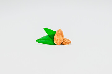 Group of almonds with leaves