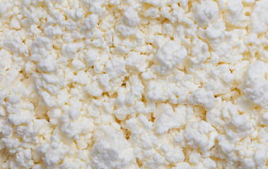 Fresh milk curd as background.
