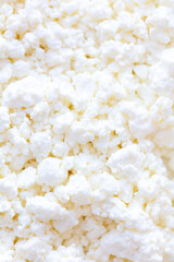 Fresh milk curd as background.
