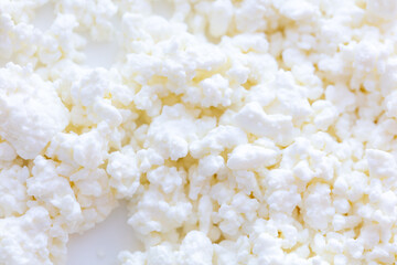 Fresh milk curd as background.