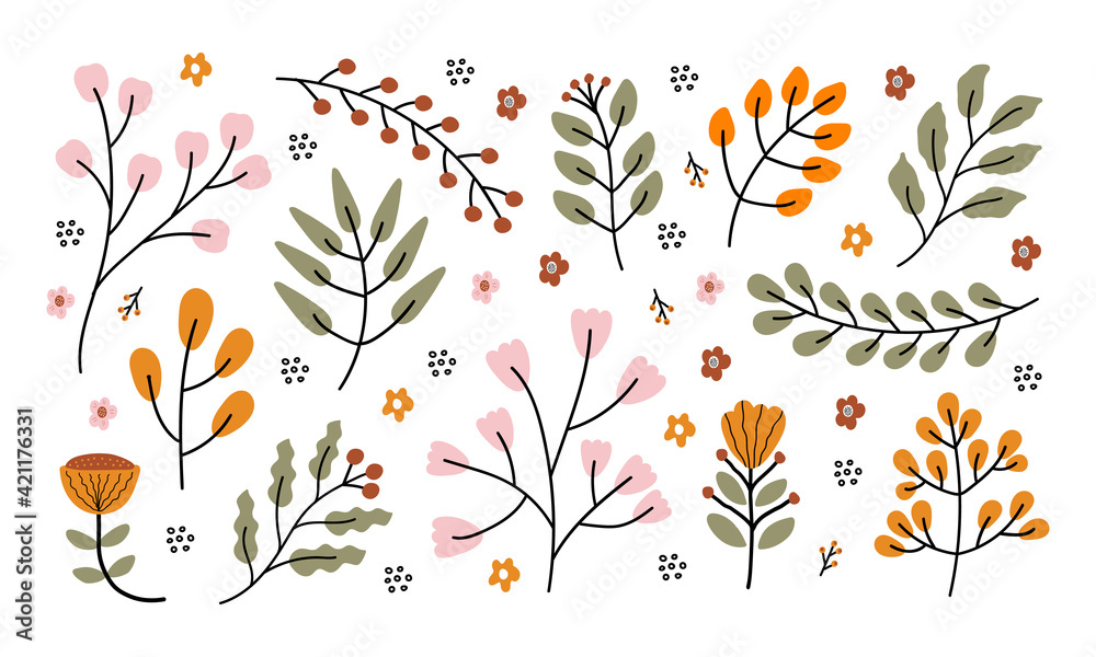 Poster vector hand drawn set of branches with flowers, leaves and berries isolated on white background. col