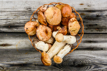 Wicker basket with freshly picked porcini and oiler mushrooms on a rustic wooden table. Top view