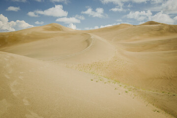 Sand dunes in desert with sky with clouds. Summer hot landscape