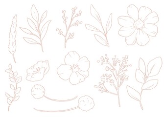 優しいタッチのフラワーイラスト