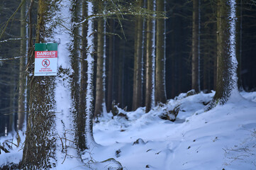 Beautiful view of forest danger sign mountain bike trail strictly no walkers on fir tree trunk in amazing winter snowy Ticknock Forest National Park, Co. Dublin, Ireland. Unusual Irish winter