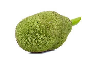 young fruit jackfruit on white background