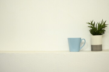 plant in a vase and blue glass put on white wall background