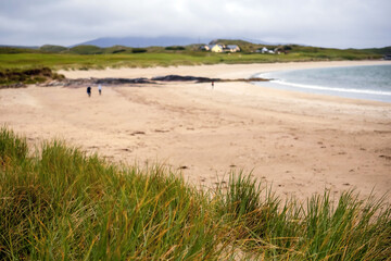 Green grass in focus, sandy beach with people out of focus. Irish nature landscape, Atlantic ocean,West coast. Cloudy sky.