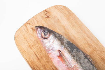 Red-eyed sea fish on a wooden kitchen board on a white background, isolate. Close-up, macro