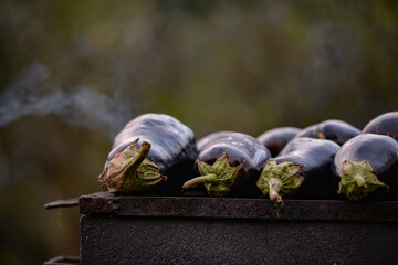 grilled eggplant during baking. organic vegetables prepared in the garden with green grass. Solanum melongena vegan food species