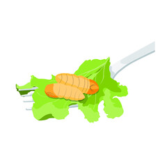 Food Insects: Silkworm Pupa insect deep-fried crispy for eating as food items on fork with salad vegetable, it is good source of protein edible for future. Entomophagy concept.
