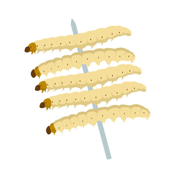 Food Insects: Bamboo worm or Bamboo Caterpillar insect deep-fried crispy for eating as food items on skewer, it is good source of protein edible for future. Entomophagy concept.