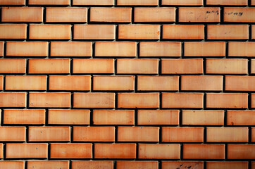 Orange brick wall in sunlight.