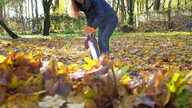 Woman using electric powered leaf blower to blow autumn leaves from lawn