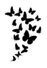 Flock of silhouette black butterflies on white background