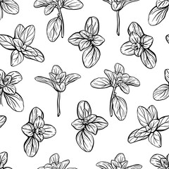  Basil Seamless Pattern. Italian herbs.A sprig of marjoram. Basil is a fragrant and fragrant seasoning. Hand-drawn illustration