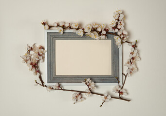 Flower arrangement. Wooden photo frame and border of spring branches of a blooming apricot on a pastel gray background.