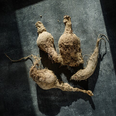Old vegetables beets and radishes. Natural light. View from above. Natural farm products