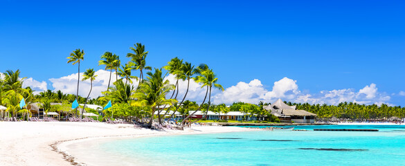 Coconut Palm trees on white sandy beach in Dominican Republic - obrazy, fototapety, plakaty
