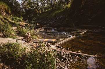 water flowing into the creek