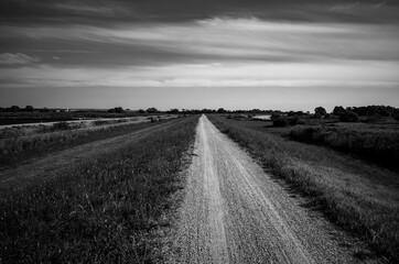 Fototapeta premium Walking trail