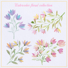 Watercolor floral elements set. Spring watercolor flowers and leaves