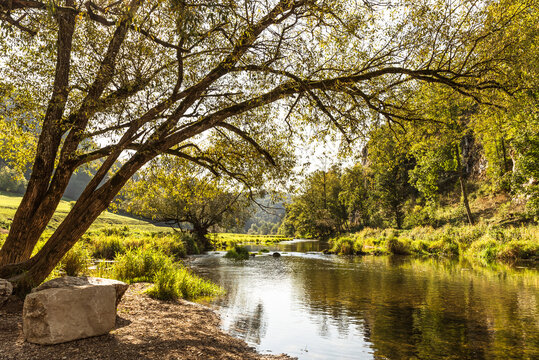 Donau bei Fridingen an der Donau, Donautal, Naturpark Obere Donau, Baden-W&uuml;rttemberg, Deutschland