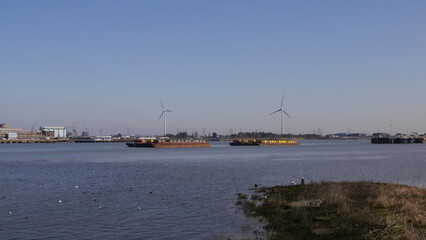 East London River and Marshes