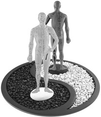 Mannequins d’acupuncture chinoise sur symbole yin yang 