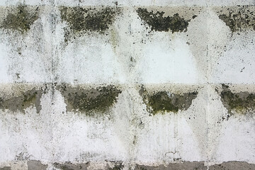 a fragment of a dirty and shabby concrete fence