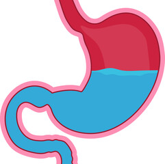 Human stomach. Medical drawing. Healthy stomach, digestive problems.