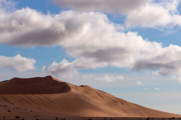 Fototapeta na wymiar Golden sand dune 7 and white clouds on a sunny day in the Namib desert. Fantastic place for travelers and photographers
