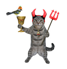 A gray cat in red horns is holding a devil trident and a gold goblet for Halloween. White background. Isolated.