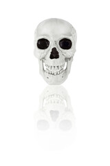 Full-face human skull with reflection, isolated on white background.
