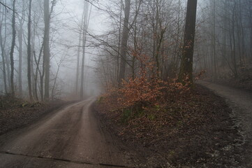 Der Hermanns Weg  bei Bielefeld im dichten Nebel am Morgen im Teutoburgerwald
