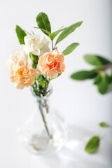 Orange and white carnation flowers in glass vase on white background.