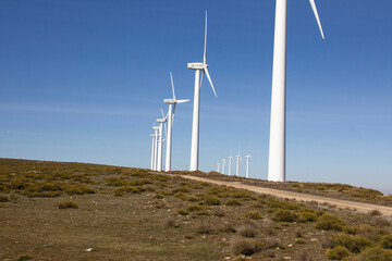 Clean electricity producing wind turbines built on a windy mountain ridge