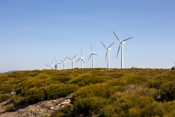 Clean electricity producing wind turbines built on a windy mountain ridge