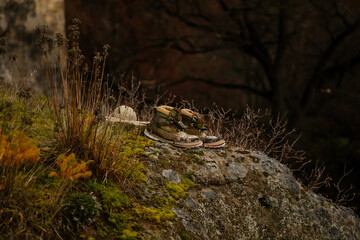 Old sneaker overgrown with moss in forest, Sneaker in disguise, shoes stand over cliff in the forest, yellow grass and small bushes, old shoe near castle Valecov, Bohemian Paradise, Czech Republic