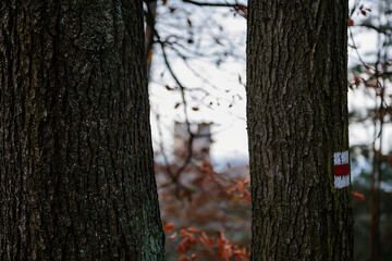 Red tourist route hiking sign, traditional colorful Czech tourist marking on trails, autumn forest in Bohemian Paradise Protected landscape Area, Czech Republic