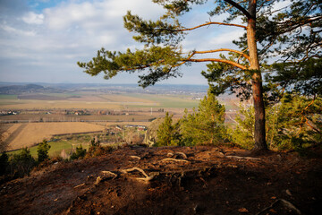 Fototapeta na wymiar Herald's viewpoint, Autumn sandstone landscape of Bohemian Paradise, sunny day, winter at rock formation Drabske svetnicky, pine branches, Hiking Golden Trail of Bohemian Paradise, Czech Republic