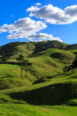 Fototapeta na wymiar Grassy farming country in the Kaimai Mountains, New Zealand