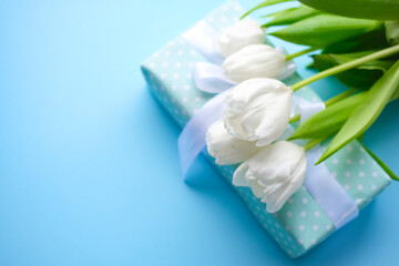 Present and flowers white tulips on blue background.women day. Mother day .Spring flowers.Gift with white ribbon.