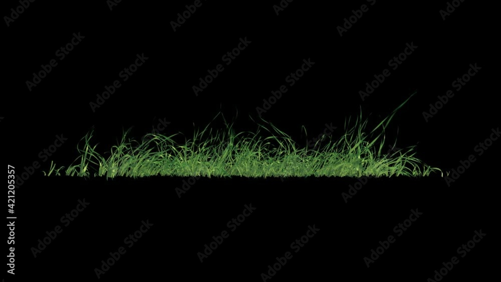 Wall mural grass swaying wind loop with alpha channel. easy to use and change you can place on footage or backg
