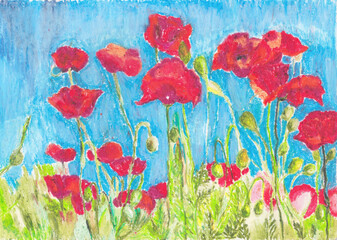 Poppies on the field in the morning artwork made with oil pastels
