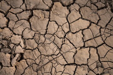 dry cracked earth