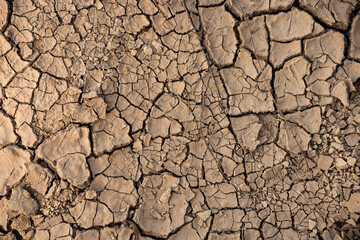 dry cracked earth