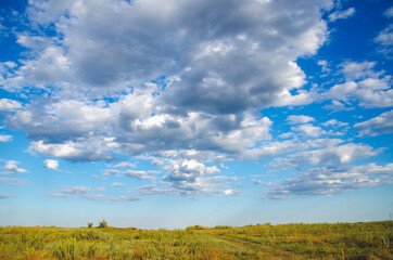 Obraz premium Countryside landscape grassy field and blue sky with gray clouds